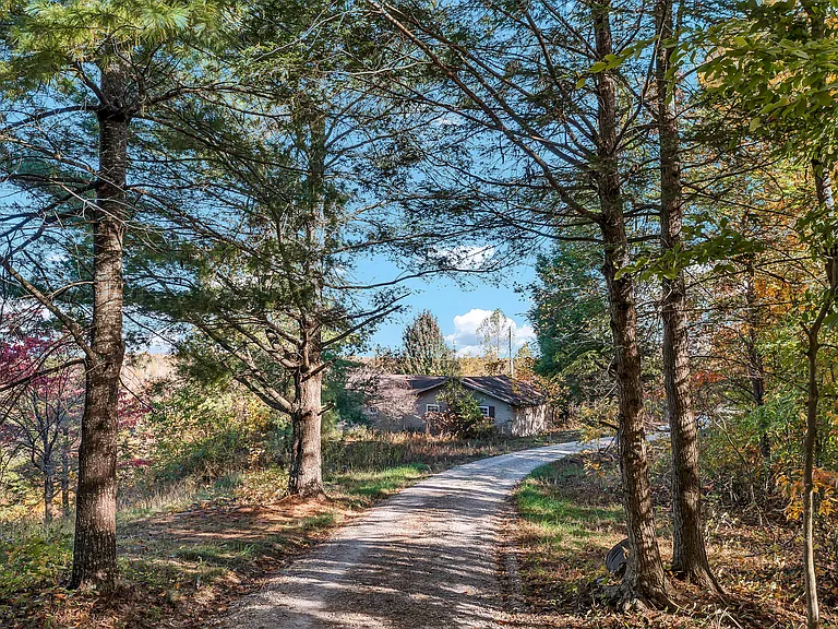 Mountain Retreat on 14.96 Acres – Create Your Dream Homestead with Stunning Views! $100.000