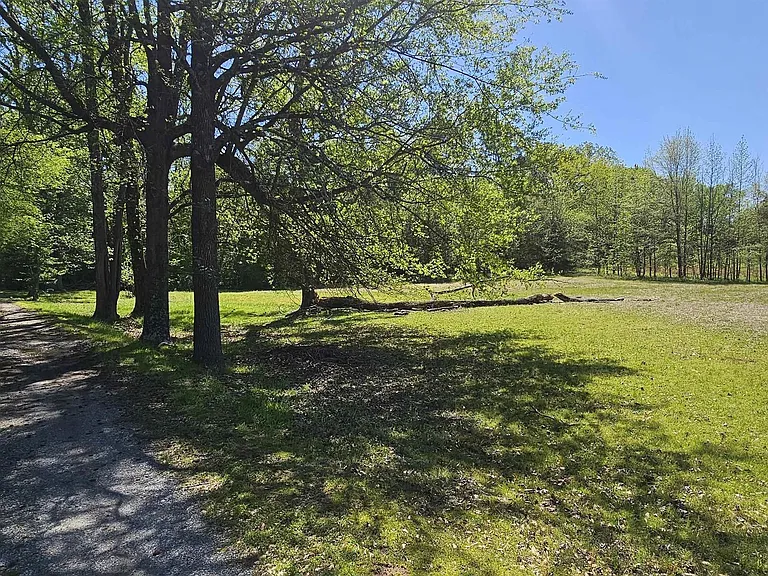 37 Acres with Two Homes, Open Pastures, and Unlimited Opportunity! $119.000