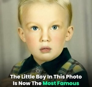 News Archives - Old House Life