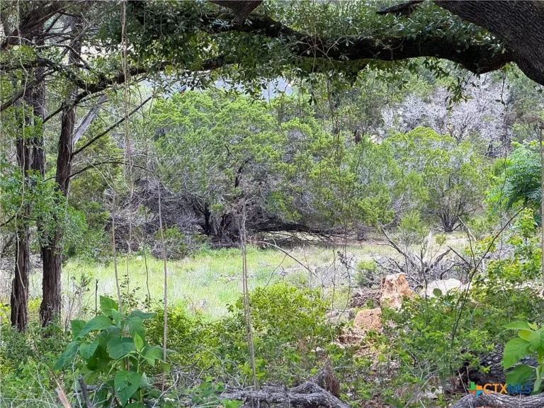 Beautiful Oak-Covered Homesite in Canyon Lake Hills – Prime Location Just Seconds from the Boat Ramp