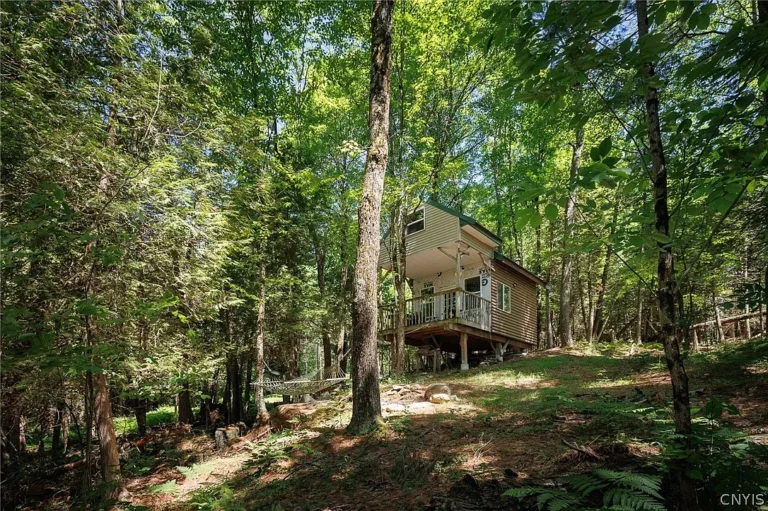 Off-Grid Adirondack Retreat $50,000