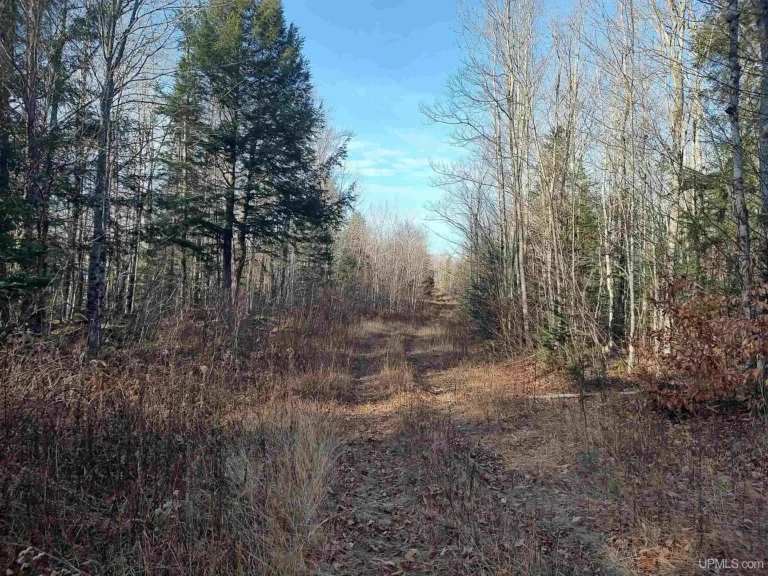 240 Acres of Upper Peninsula Wilderness $181,000