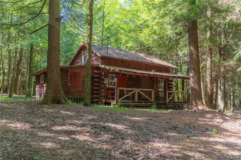 Log Cabin with 2.6 Acres in Angelica, New York