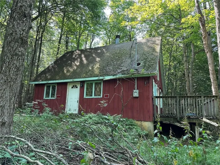 Cottage with 5 Acres in Farmersville Station, New York