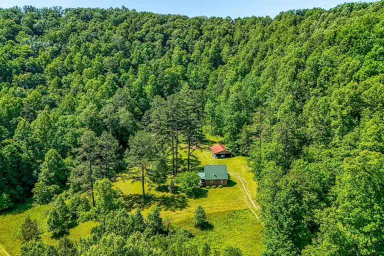 Cabin with 45.19 Acres in Livingston, Kentucky