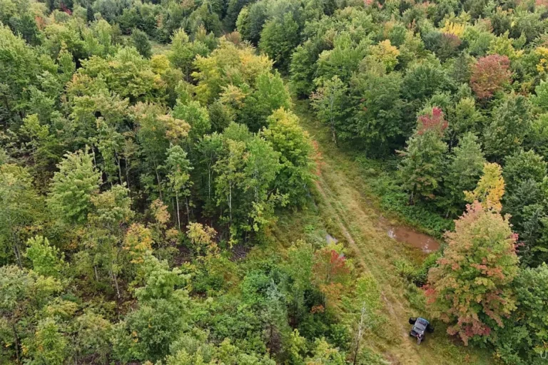 Wooded Land with 240 Acres in Ontonagon, Michigan