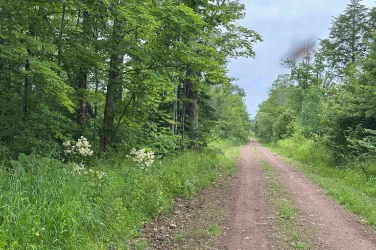 Wooded Land with 120 Acres in Wakefield, Michigan